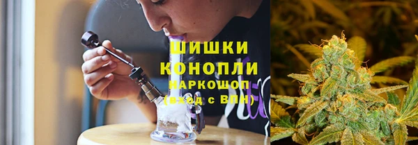 винт Лабытнанги