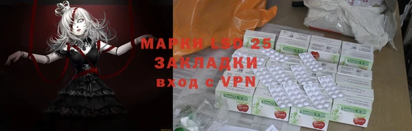 винт Лабытнанги