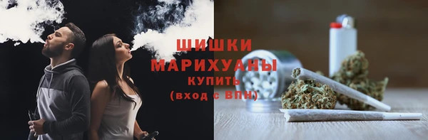 винт Лабытнанги
