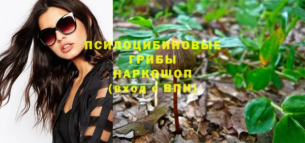 винт Лабытнанги