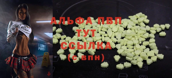 винт Лабытнанги