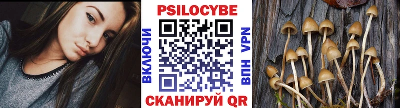 Купить где  Верхний Тагил  Галлюциногенные грибы мухоморы 